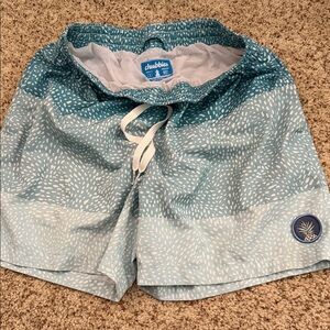 Chubbies Blue and White Patterned Shorts